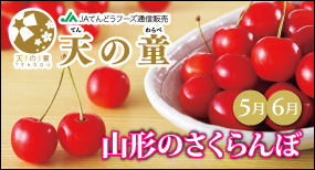 �R�`�̂������ځb�ʔ́b�V�̓��bJA�Ă�ǂ��t�[�Y�ʐM�̔�